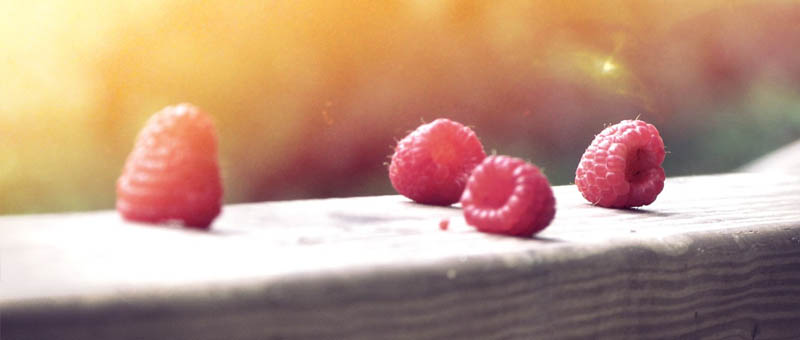 短信压力测试器免费网页版